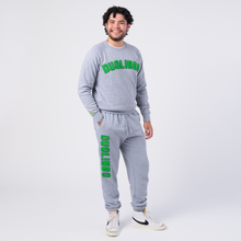 Carregar imagem no visualizador da galeria, Calças de moletom universitárias Duolingo
